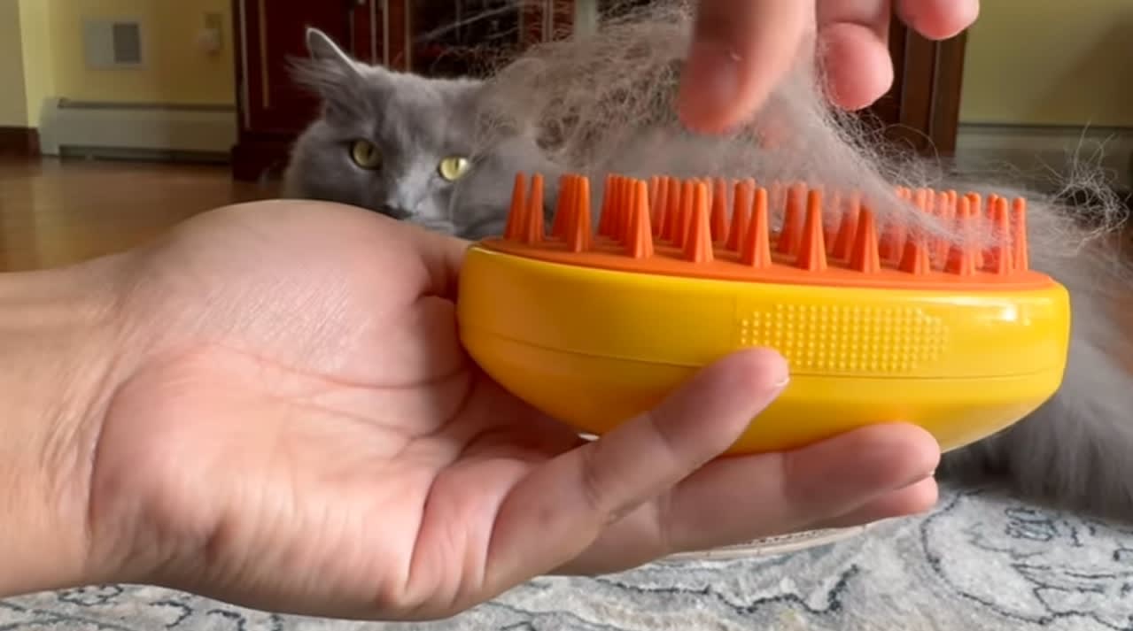 Escova a Vapor para Pets 3 em 1 - Image 7